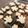 クック718TRO☆'s cooksnap of when they made マーガリン使用！バタークッキー風。.