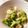 Marmo's cooksnap of when they made カリフラワーとブロッコリーのナムル風.