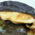 たくのスプーン's cooksnap of when they made 1:1:1で簡単！魚の漬け焼き.