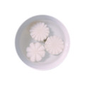 クック4649★'s cooksnap of when they made 簡単！？可愛い大根の飾り切り 菊の花.