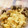 pyon2ma2's cooksnap of when they made ちりめんじゃこと生姜のむかごごはん.