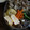 ガメコ's cooksnap of when they made カニカマの卵焼き.