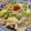 わか★'s cooksnap of when they made 豚バラともやし豆苗の重ねレンジ蒸ししゃぶ.