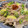 わか★'s cooksnap of when they made 豚バラともやし豆苗の重ねレンジ蒸ししゃぶ.