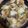 Reo14☆'s cooksnap of when they made 牛肉と白菜のすき煮.