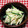 tokotann's cooksnap of when they made 鶏ささ身とキュウリのゴママヨ和え.