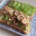 きらり流れ星's cooksnap of when they made タレがおいしい！豚バラ肉の焼肉サラダ.