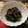 ☆hikonyan☆'s cooksnap of when they made 栄養満点＊我が家のほうれん草の胡麻和え.