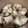 ひまわり６号's cooksnap of when they made 無農薬野菜・ほっとする親芋煮.