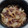 aoto's cooksnap of when they made ●10分で簡単☆柔らかお肉の牛丼＆豚丼●.