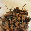 ロン坊's cooksnap of when they made 佃煮屋さんの本格あさり佃煮.