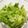 candykana's cooksnap of when they made 茹でるだけで箸が止まらぬやみつきキャベツ.