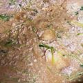 ゅっちﾝ's cooksnap of when they made 長芋と大根と豆苗のトロトロ豆乳坦々鍋.