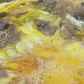 toshio39's cooksnap of when they made すき焼きリメイク卵とじ.