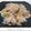 ちょこ☆ちょこ's cooksnap of when they made 鶏肉と残り物野菜の塩葱醤炒め.