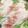 ☻☻☻☻☻☻☻☻☻☻'s cooksnap of when they made 簡単！さっぱり美味しい！レタス豚しゃぶ.