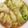 ねこのガストン's cooksnap of when they made くるくるロール白菜.