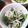 そらてんママ's cooksnap of when they made 水菜と大根のサラダ.