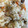 67luna's cooksnap of when they made 生姜たっぷりあさりめし【冷凍作り置き】.