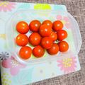 Rionaのおうち飯's cooksnap of when they made プチトマト長持ち保存法.