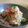poya's cooksnap of when they made 切り干し大根の蒸し炒め.