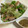 papikun's cooksnap of when they made レタス大量消費！唐揚げリメイクサラダ♡.