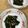 Kirin♬'s cooksnap of when they made わかめの酢の物.