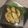 piAce's cooksnap of when they made 牡蠣のオイル漬け.