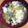 のぶきよりん's cooksnap of when they made チンゲン菜と卵の味噌汁.