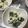 のすけマン）'s cooksnap of when they made わかめと豆腐のサラダ.