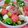 クック40IE82☆'s cooksnap of when they made 生ハムとモッツァレラチーズのすいかサラダ.