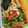 コッピー３０５'s cooksnap of when they made ししとうのカニかま挟み焼き.