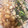 みい〜★'s cooksnap of when they made 簡単おつまみ☆牡蠣とホタテのバターソテー.