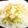 井澤綾華（井澤農園）'s cooksnap of when they made バタ釜うどん.