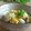 おしす's cooksnap of when they made 簡単♪キャベツのオイタマ炒め☆.