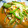 Lemon0790's cooksnap of when they made 揚げない◆秋鮭の南蛮漬け◆野菜たっぷり.