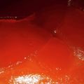★なおなおっち☆'s cooksnap of when they made 炊飯器＆HMで　タルトタタン風ケーキ.