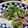 クックPPPJZE☆'s cooksnap of when they made 春菊と牛肉のシンプル炒め♪.