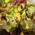 ☆ドキンちゃん☆”'s cooksnap of when they made 簡単♪包丁要らず！レタスツナコーンサラダ.