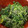 ◎みーちゃん◎'s cooksnap of when they made ほうれん草の粉チーズ和え.