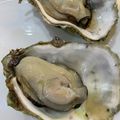 なっつなおこ's cooksnap of when they made 超楽々 殻付き牡蠣で酒蒸し牡蠣作ります.