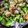 クックM96XDX☆'s cooksnap of when they made 菜の花とあさりのペペロン焼き.