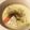クックKRO3MT☆'s cooksnap of when they made シャキシャキ白菜のみそクリームスープ☆.