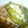Lemon0790's cooksnap of when they made きぬさやとえのきの卵とじ.