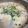 みきも's cooksnap of when they made 長芋と大根と豆苗のトロトロ豆乳坦々鍋.