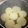 CHISA☆ごはん♪'s cooksnap of when they made 味噌ダレ☆ふろふき大根.