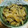 Reo14☆'s cooksnap of when they made しめじとえのきのなめたけ.