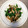 ˚✧₊⁎ゆう˚✧₊⁎'s cooksnap of when they made ハムときのこの簡単ソテー.