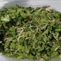 さいれん２合's cooksnap of when they made かぶの葉のふりかけ.