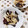 ﾁｲﾁｬﾝﾏﾏ's cooksnap of when they made ヤゲン軟骨とキクラゲの炒めもの.